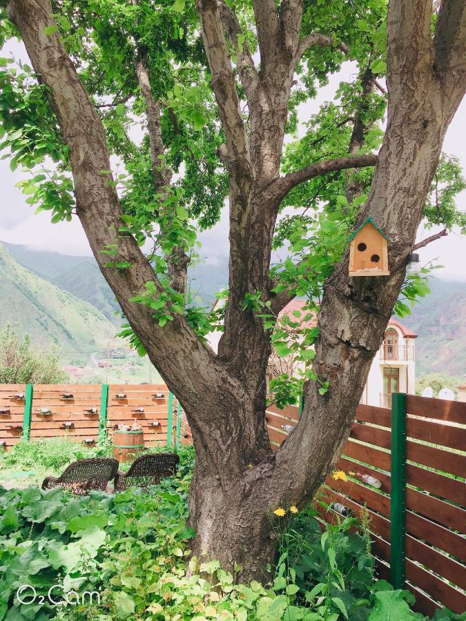 Greenhill Kazbegi Bagian luar foto